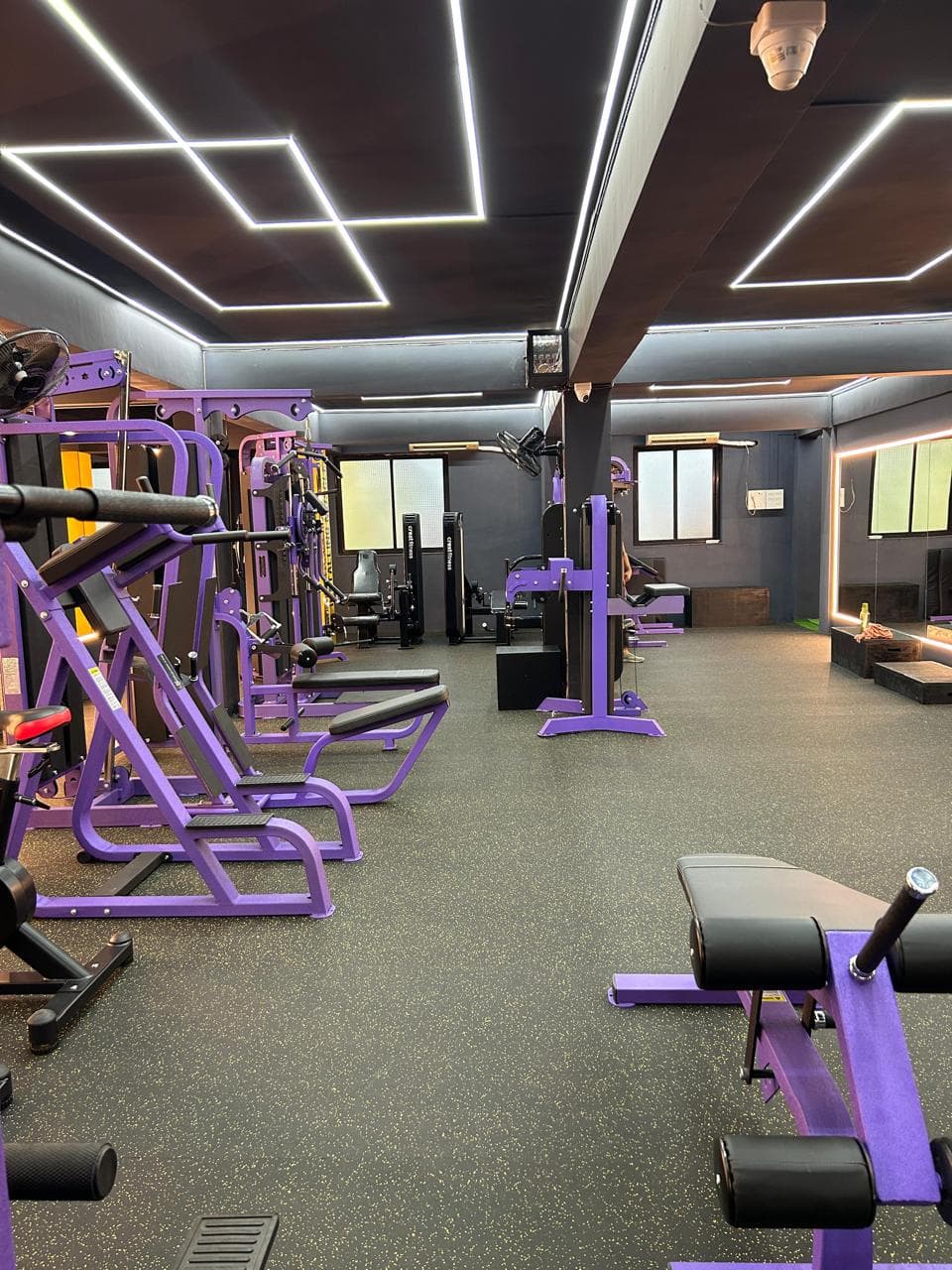 Rows of purple strength machines on the rubber gym floor