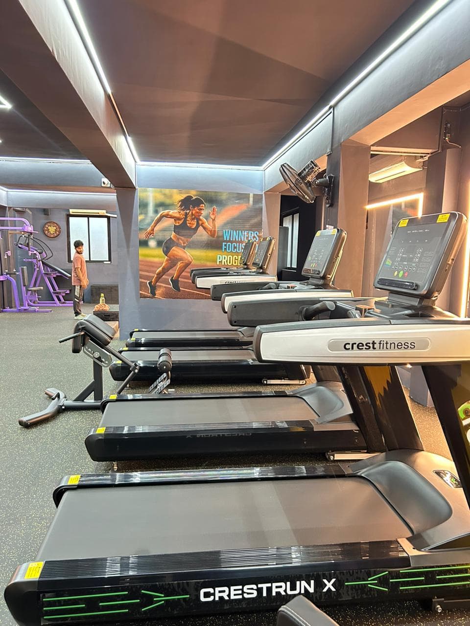 A row of Crest Fitness treadmills